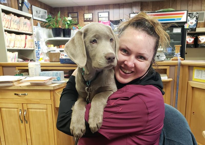 The Veterinary Clinics, Berlin Berlin veterinarians